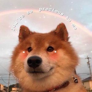 Meet your Posher, Lydia